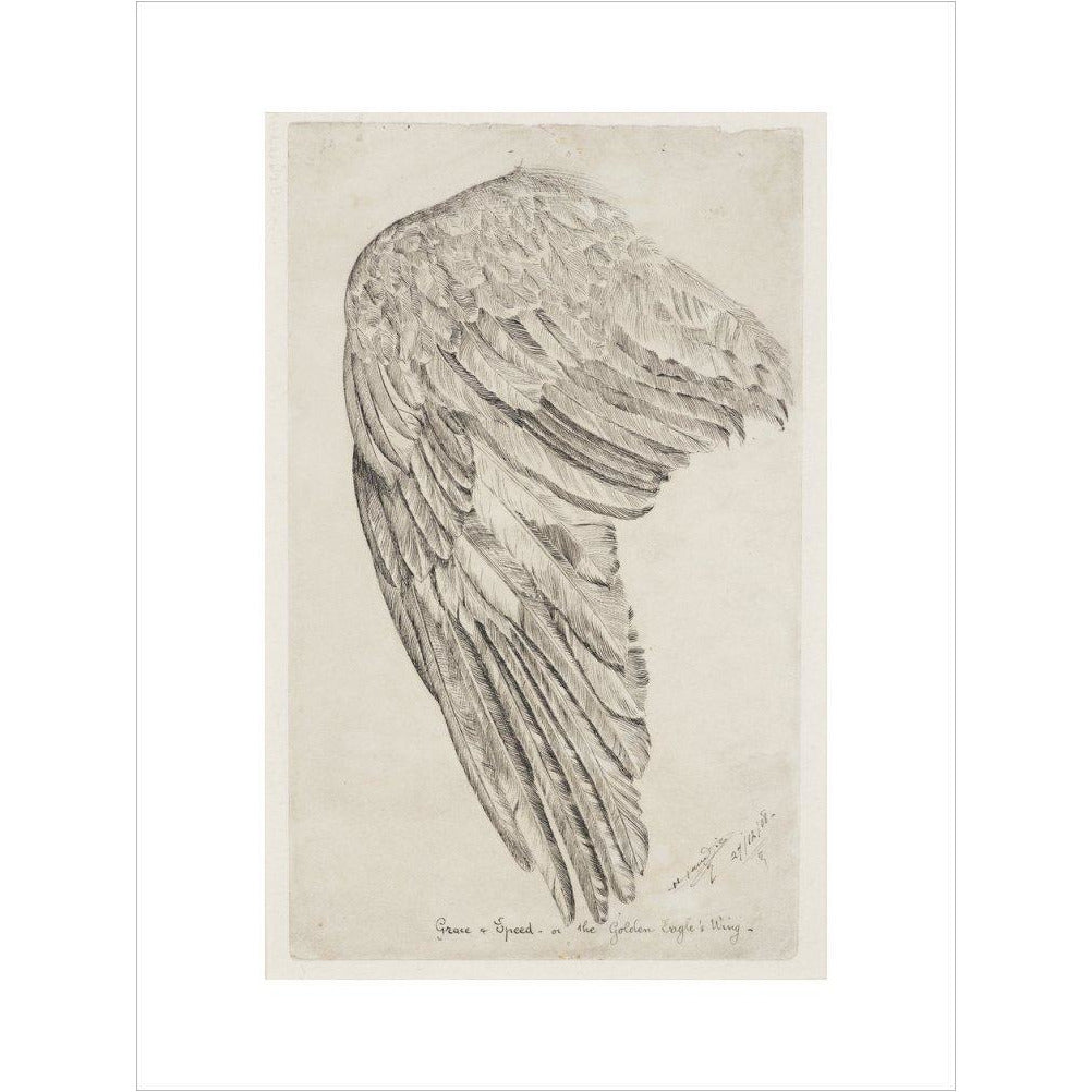Grace and Speed, or The Golden Eagle's Wing - Art print