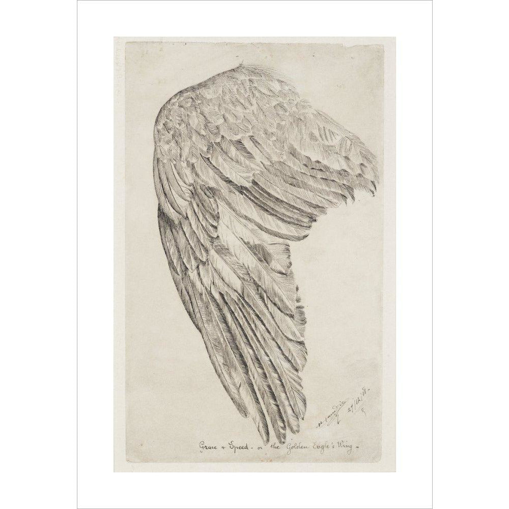 Grace and Speed, or The Golden Eagle's Wing - Art print