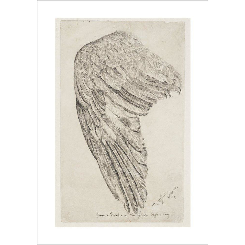 Grace and Speed, or The Golden Eagle's Wing - Art print