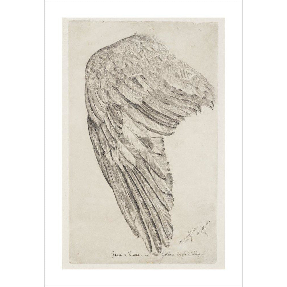 Grace and Speed, or The Golden Eagle's Wing - Art print