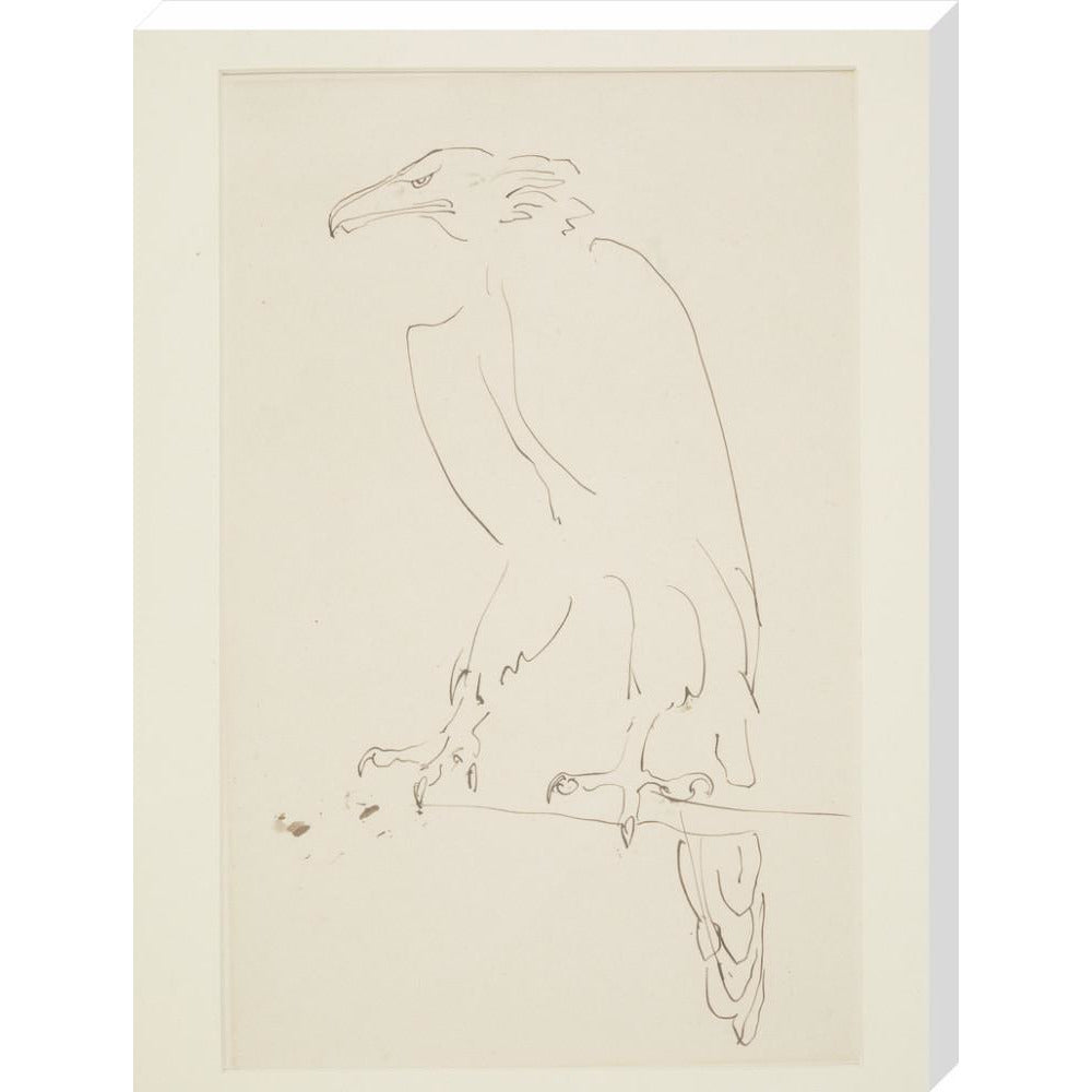 Eagle - Art print
