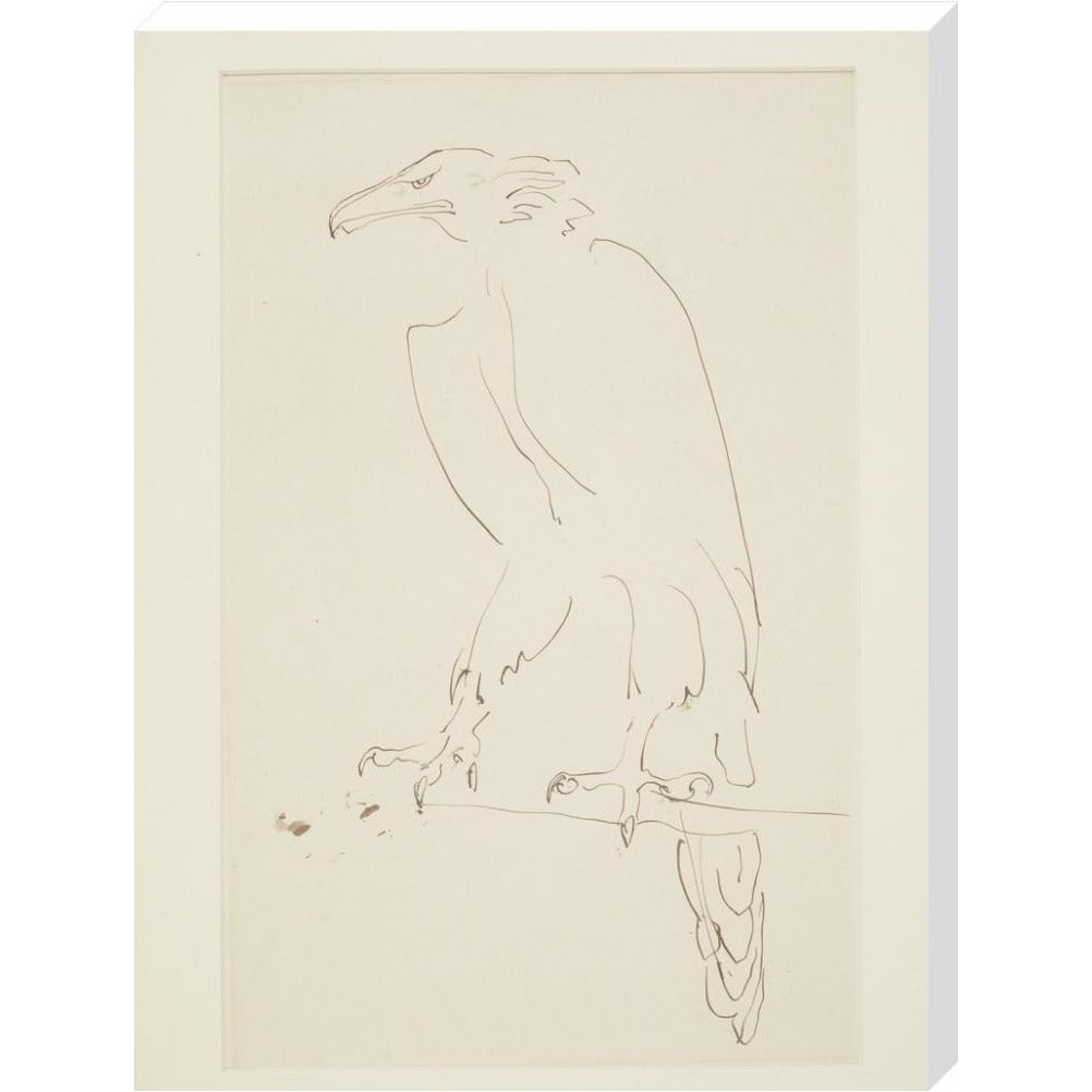 Eagle - Art print