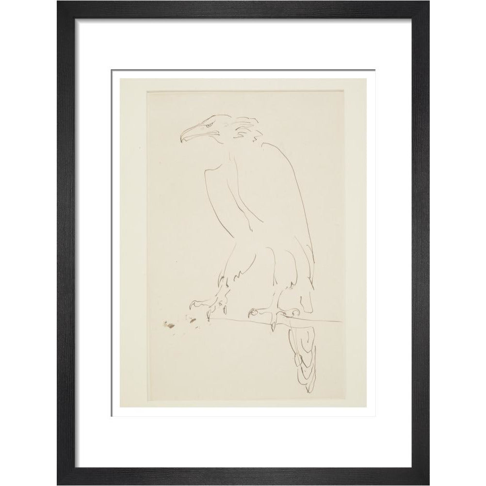 Eagle - Art print
