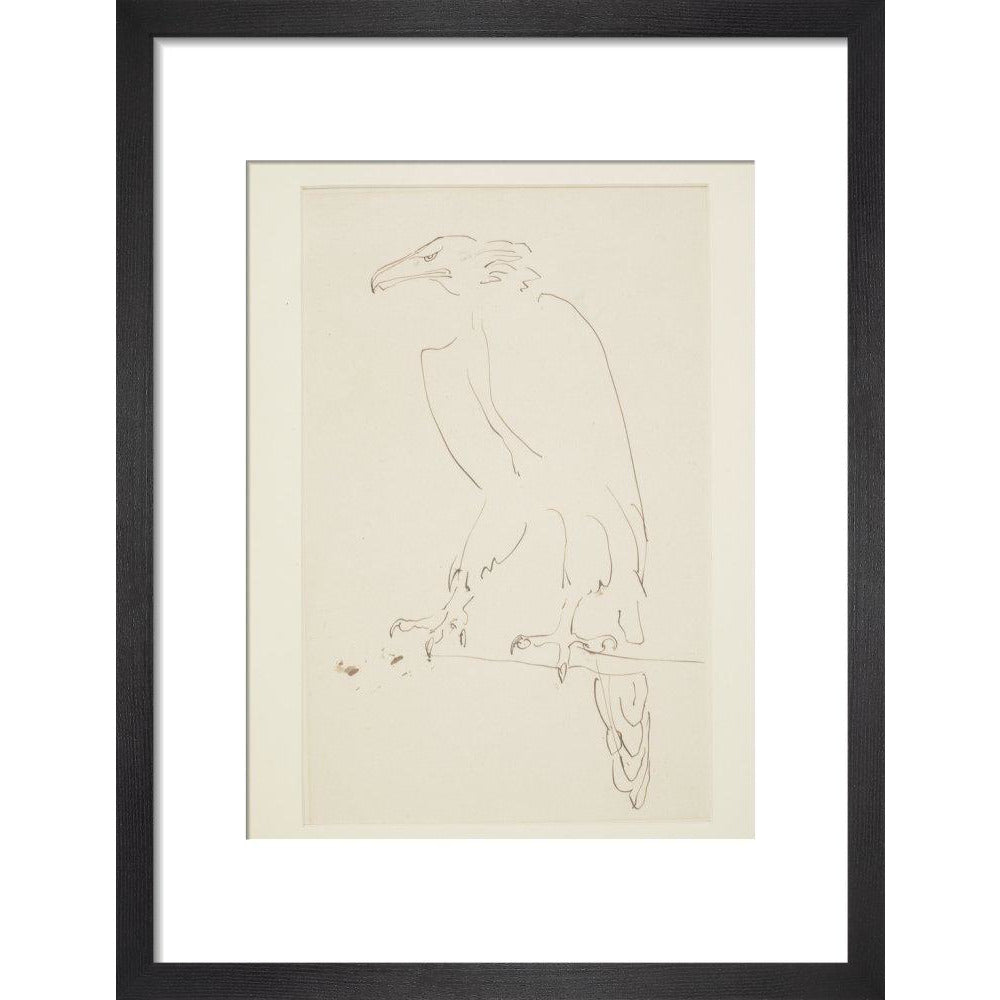 Eagle - Art print