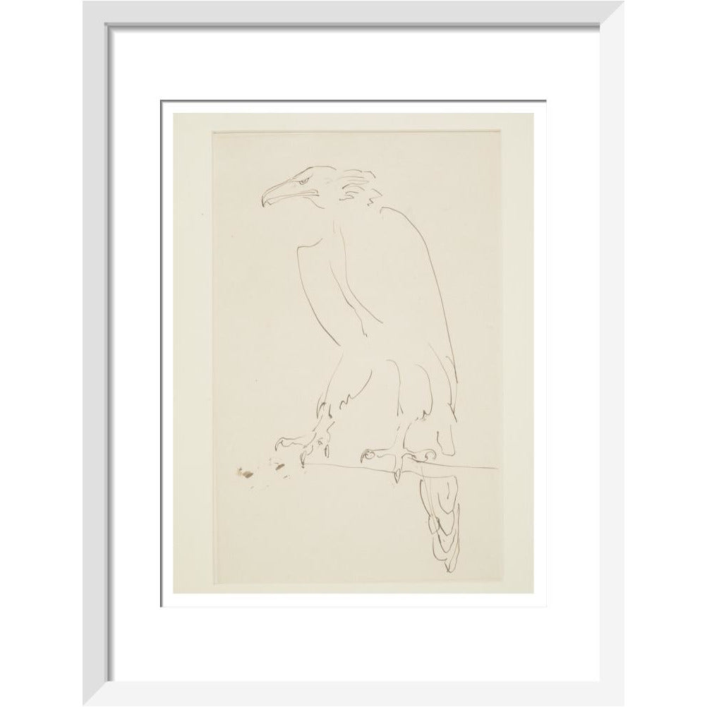 Eagle - Art print