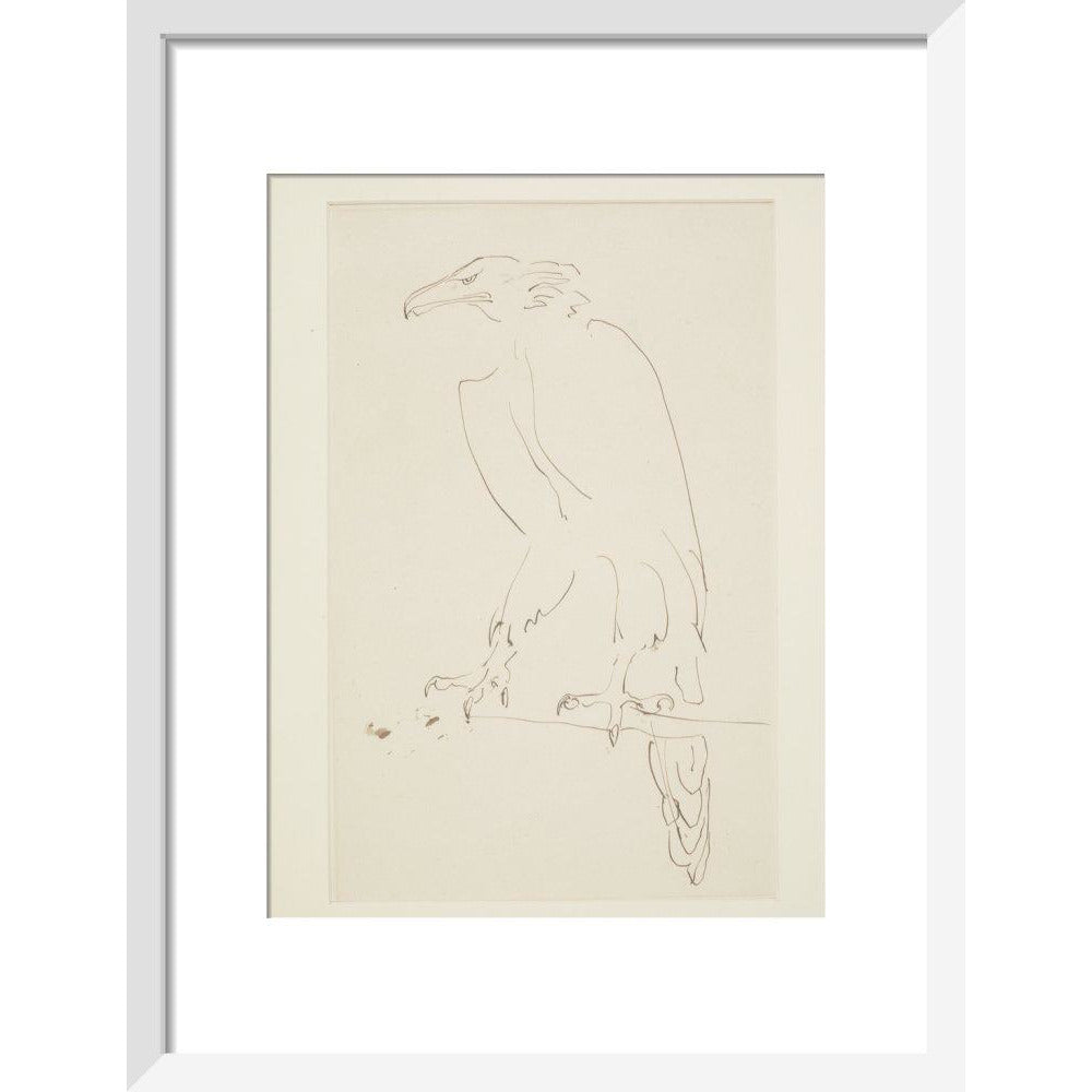 Eagle - Art print