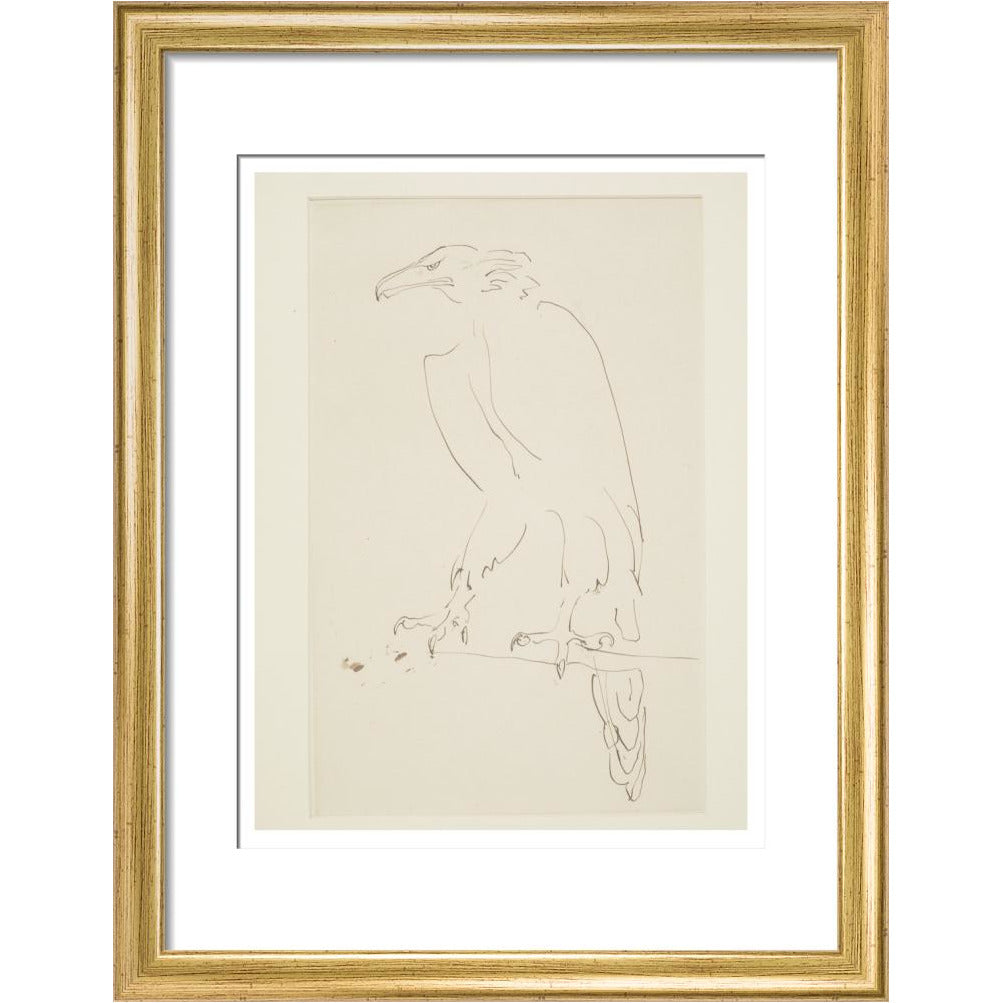 Eagle - Art print