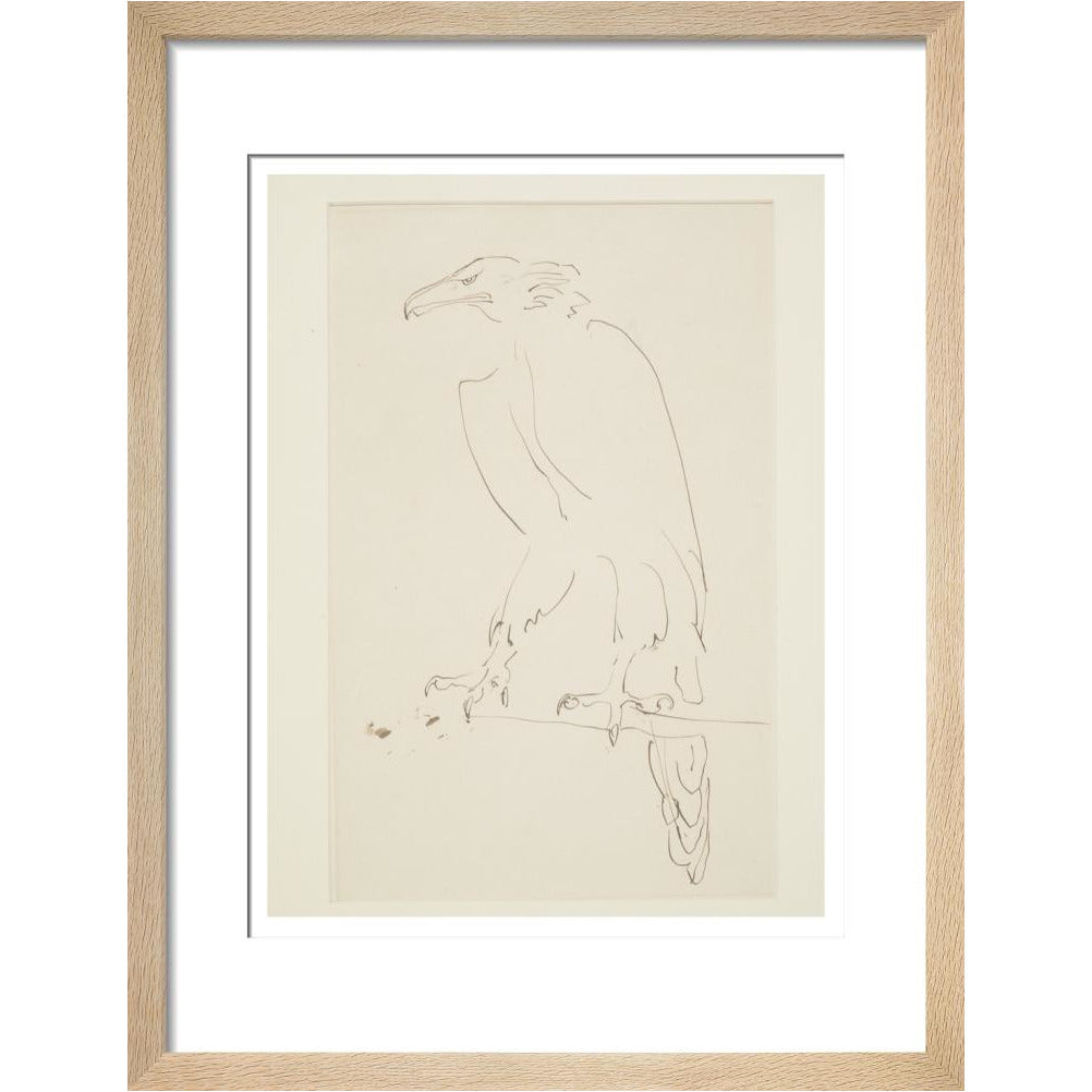 Eagle - Art print