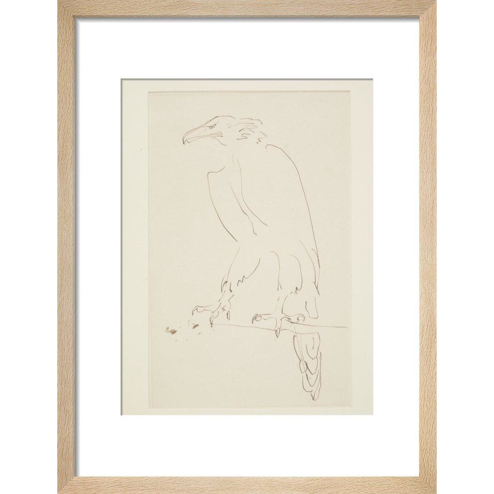 Eagle - Art print