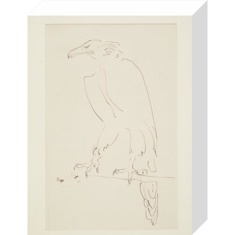 Eagle - Art print