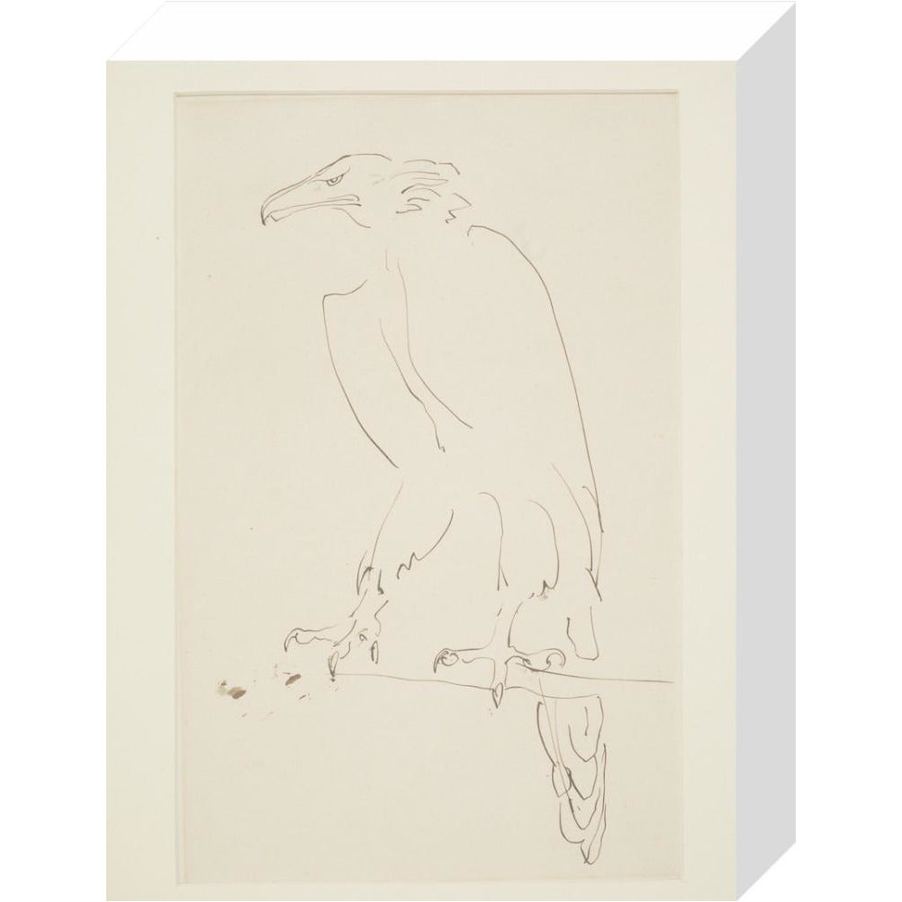 Eagle - Art print