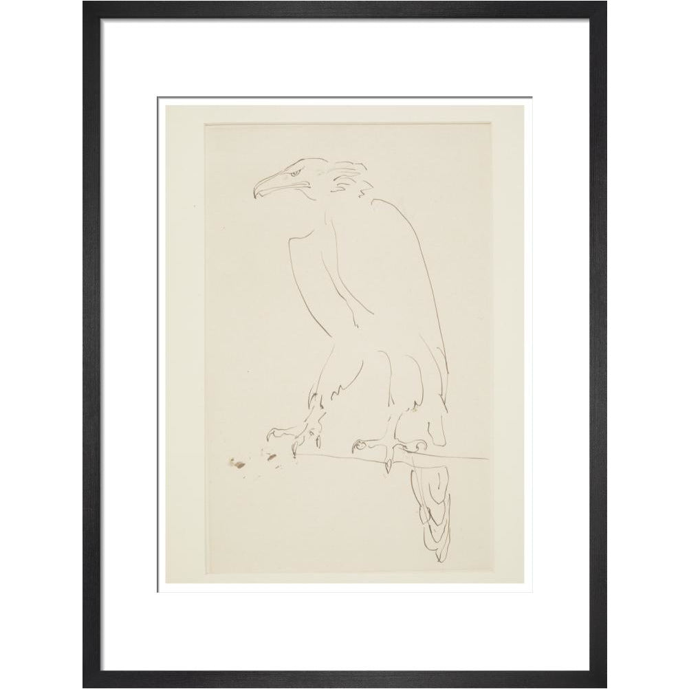 Eagle - Art print
