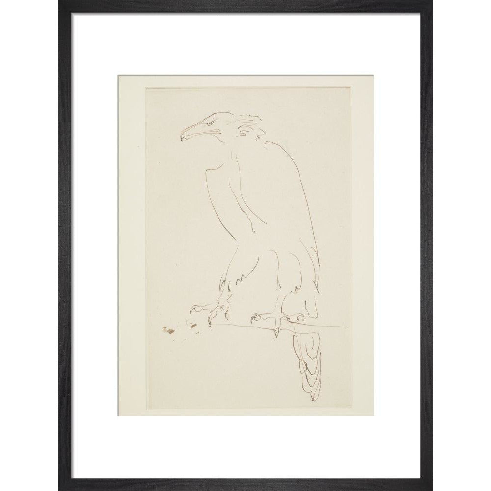 Eagle - Art print