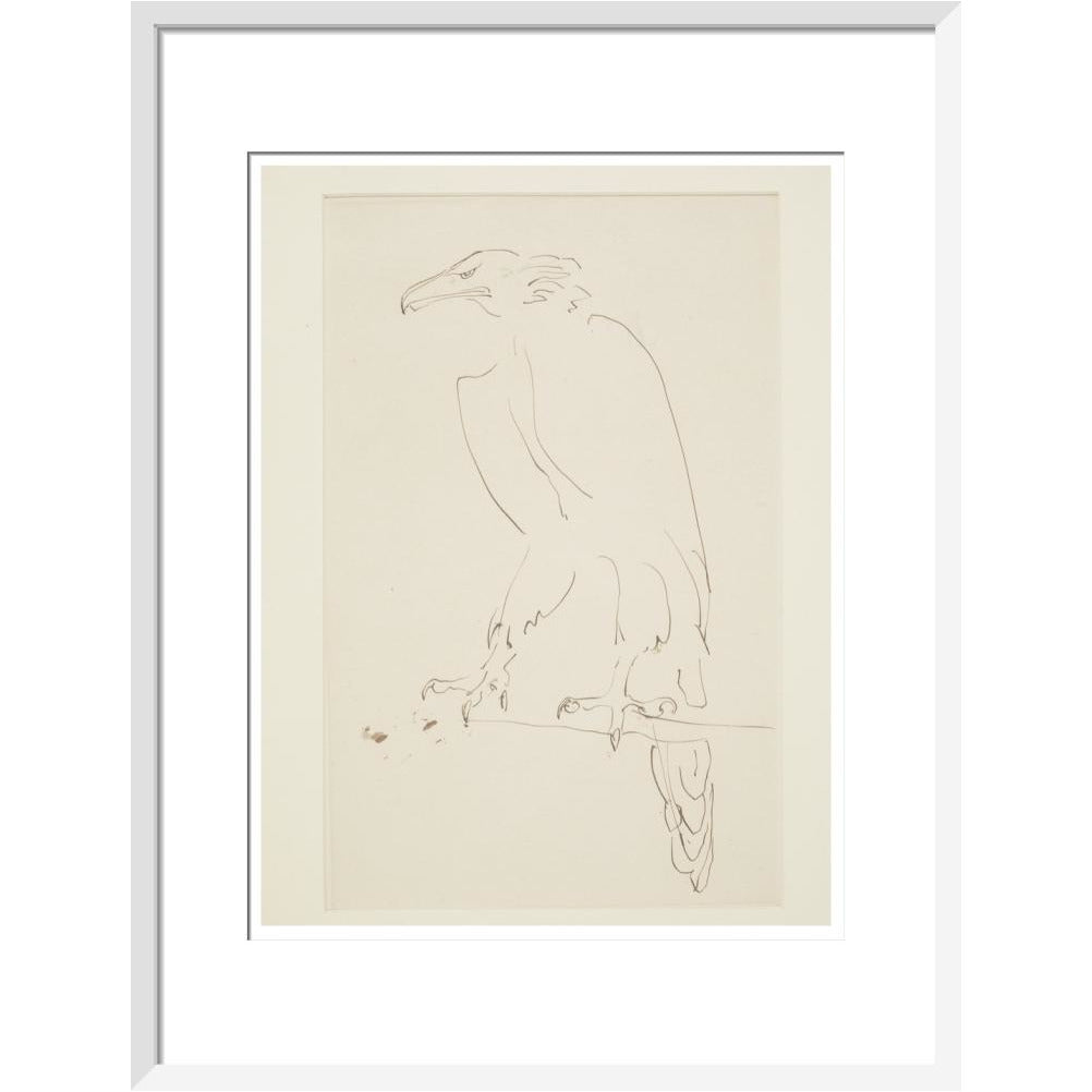 Eagle - Art print