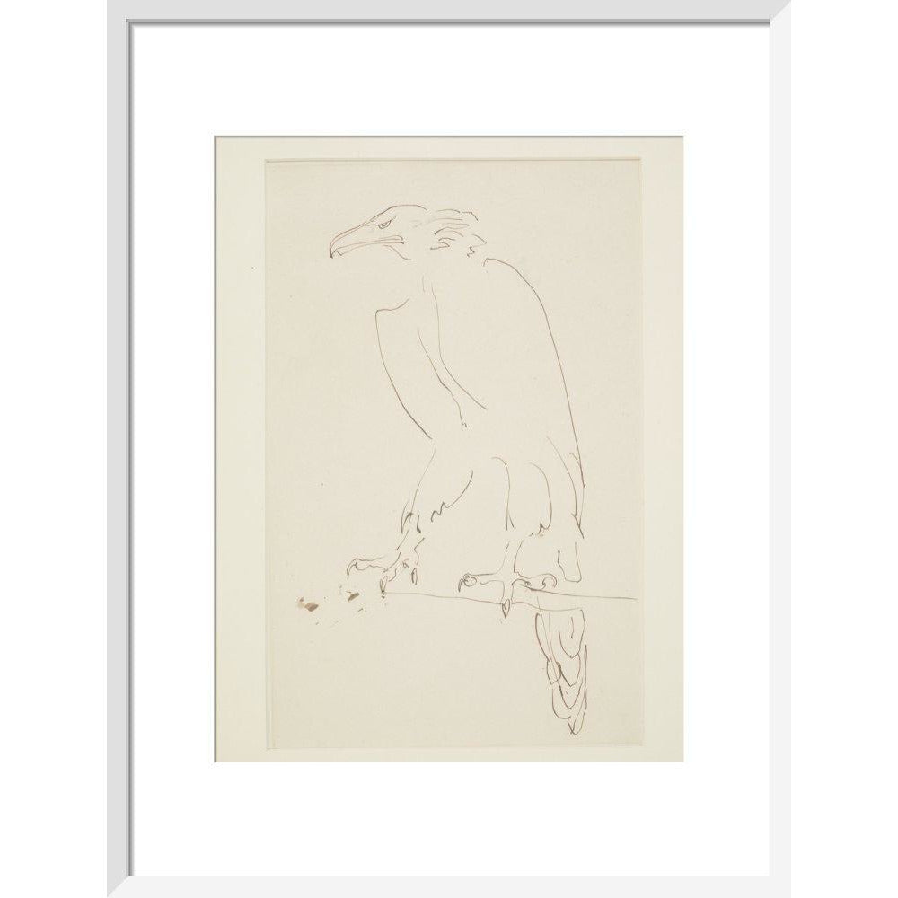 Eagle - Art print