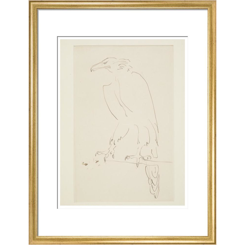 Eagle - Art print
