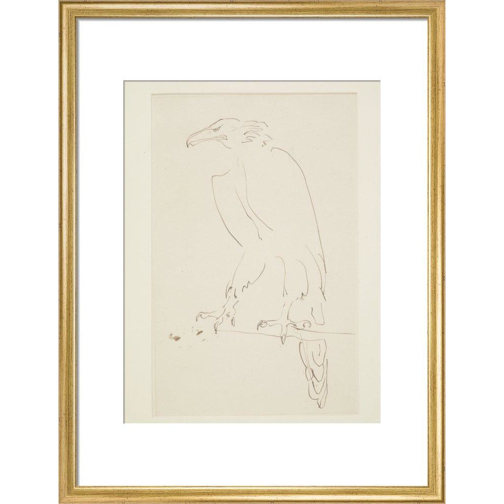 Eagle - Art print