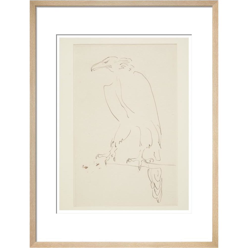 Eagle - Art print