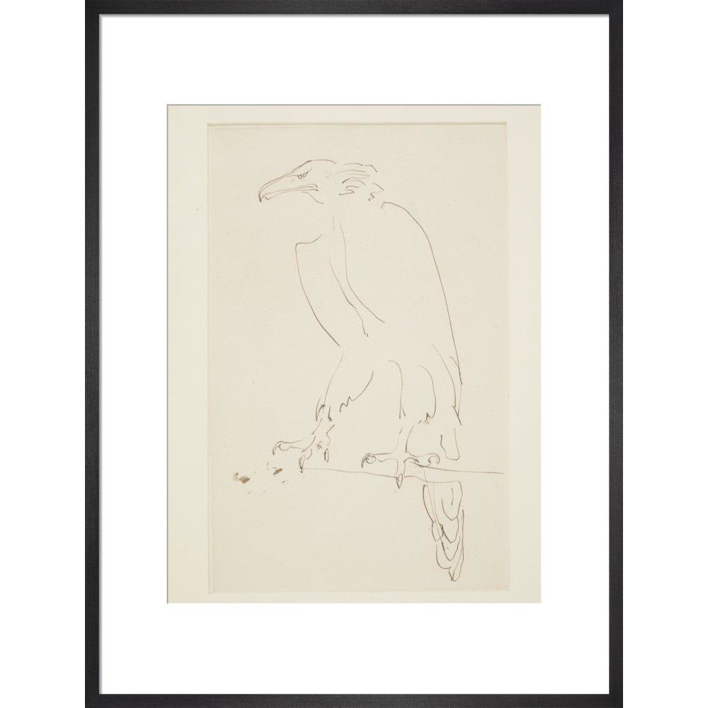 Eagle - Art print