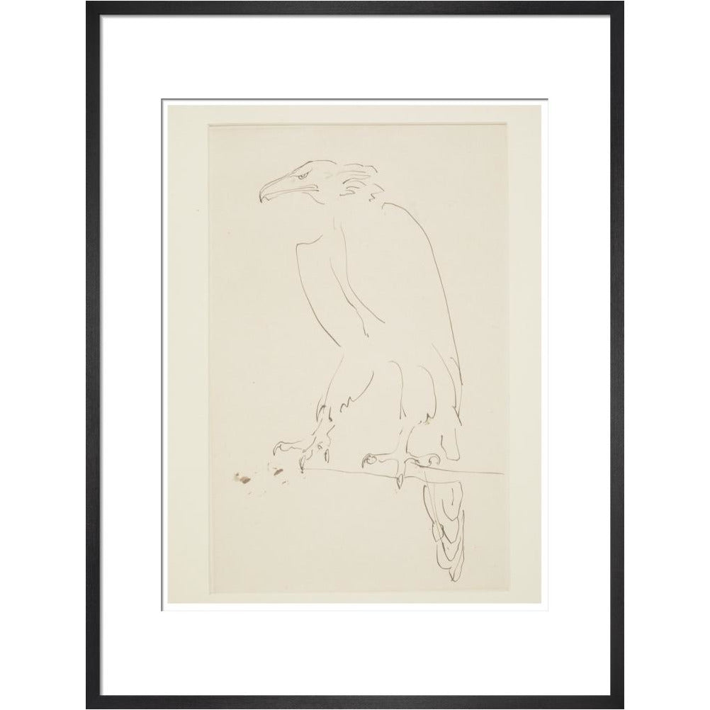 Eagle - Art print
