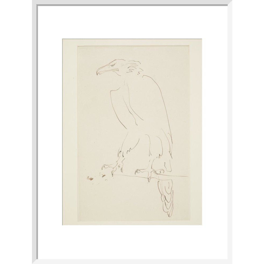 Eagle - Art print