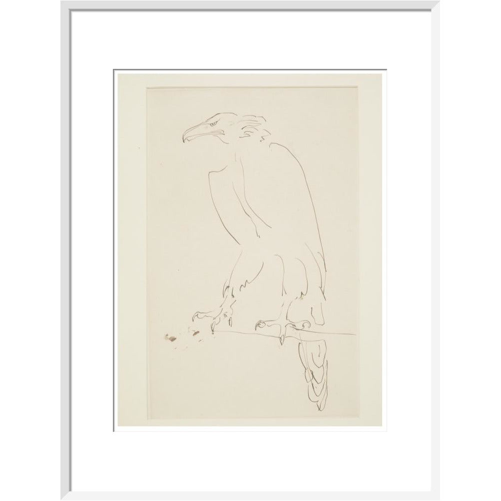 Eagle - Art print