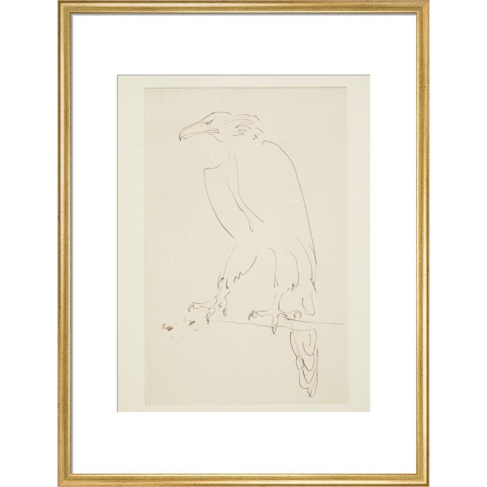 Eagle - Art print