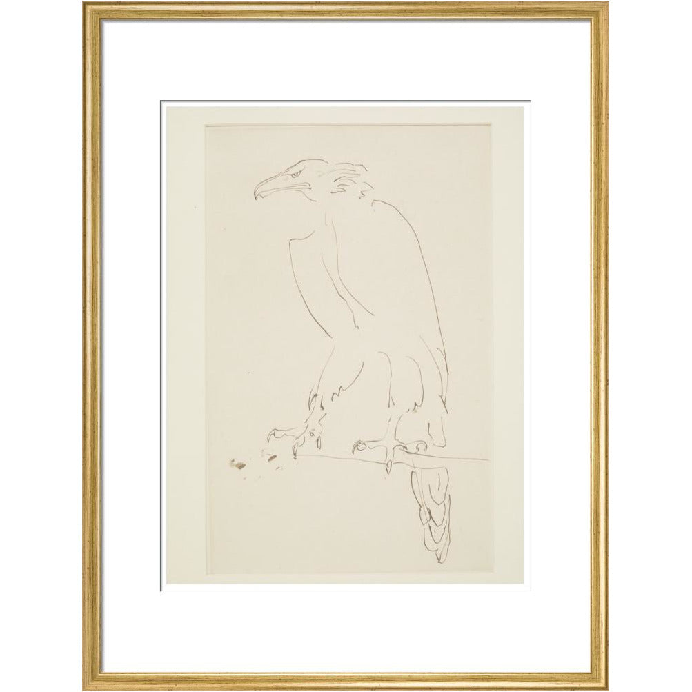 Eagle - Art print
