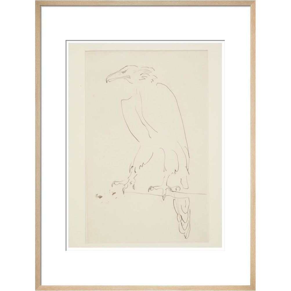 Eagle - Art print