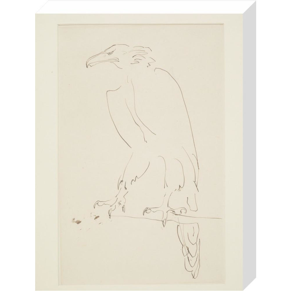 Eagle - Art print