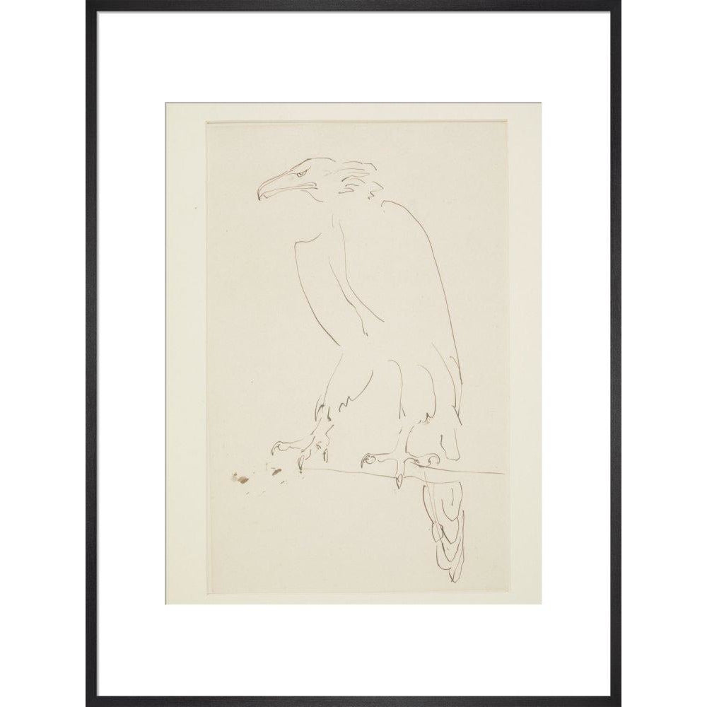 Eagle - Art print