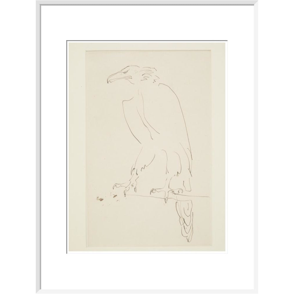 Eagle - Art print
