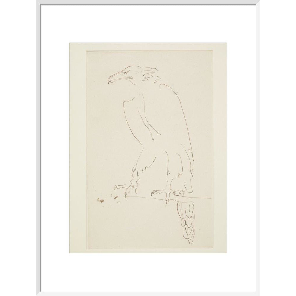 Eagle - Art print