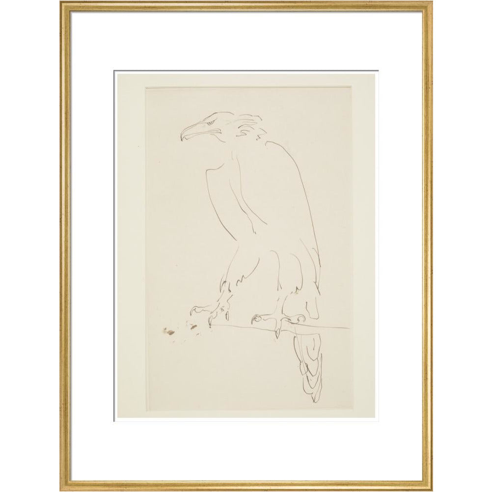 Eagle - Art print