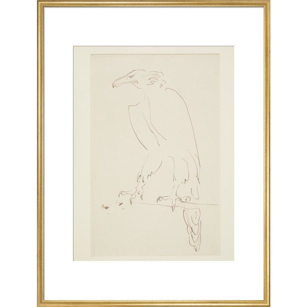 Eagle - Art print