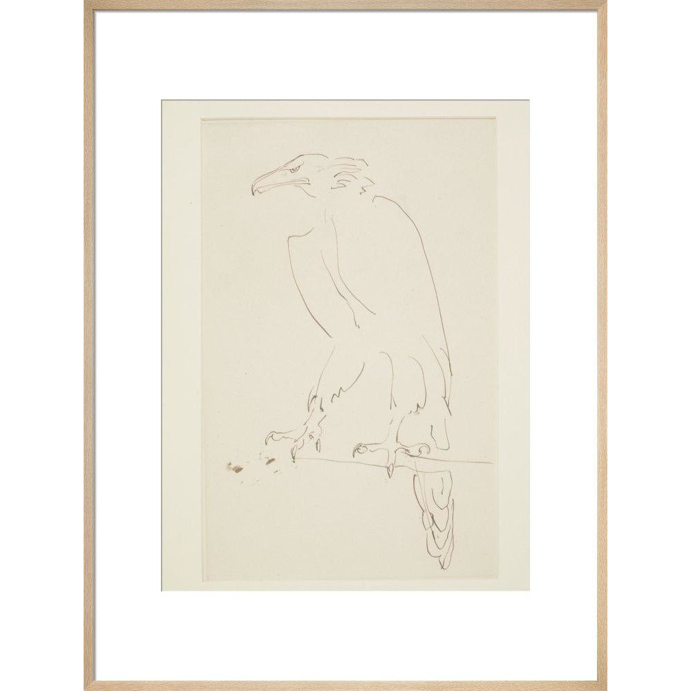 Eagle - Art print