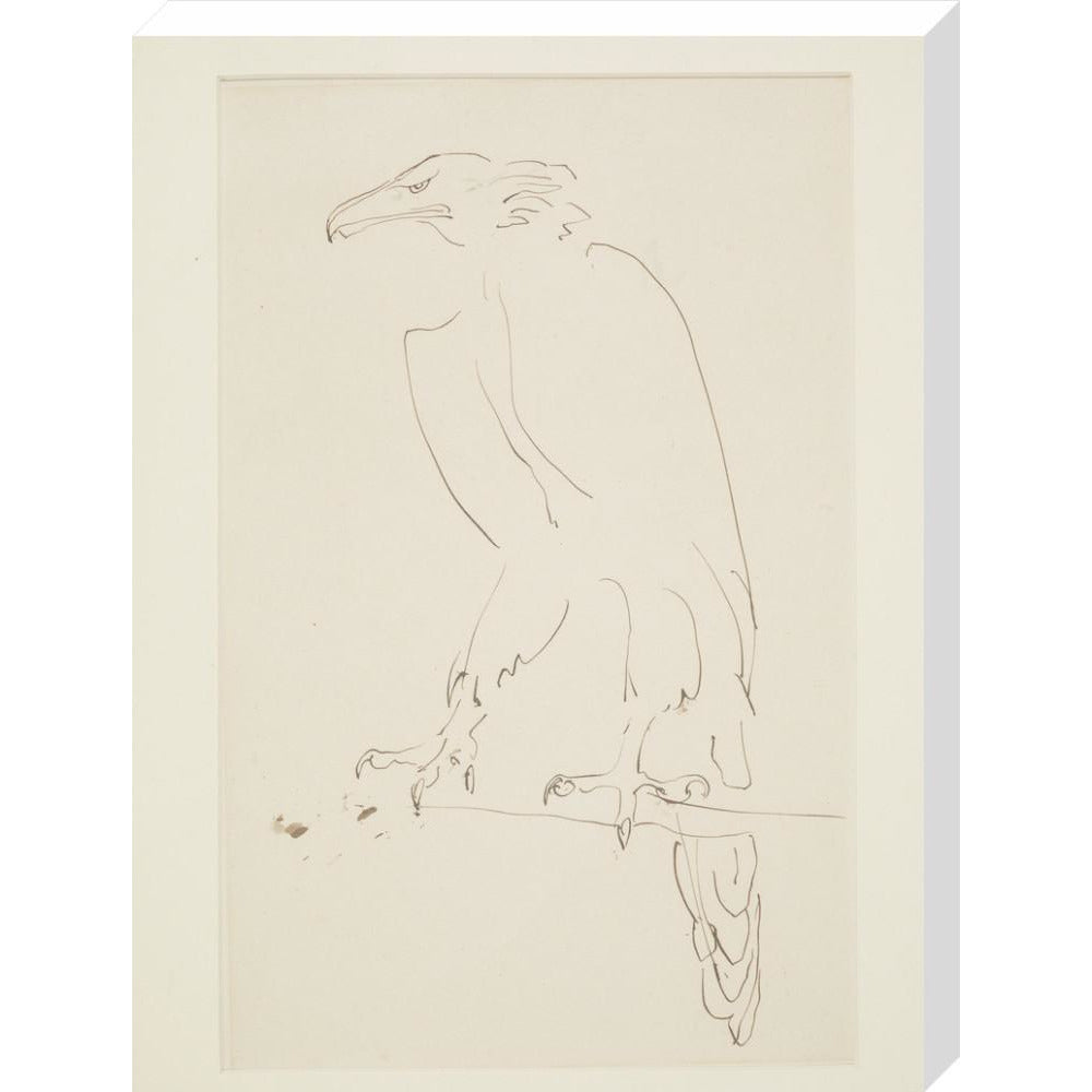 Eagle - Art print