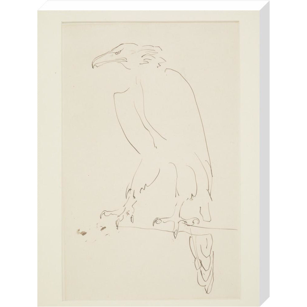 Eagle - Art print