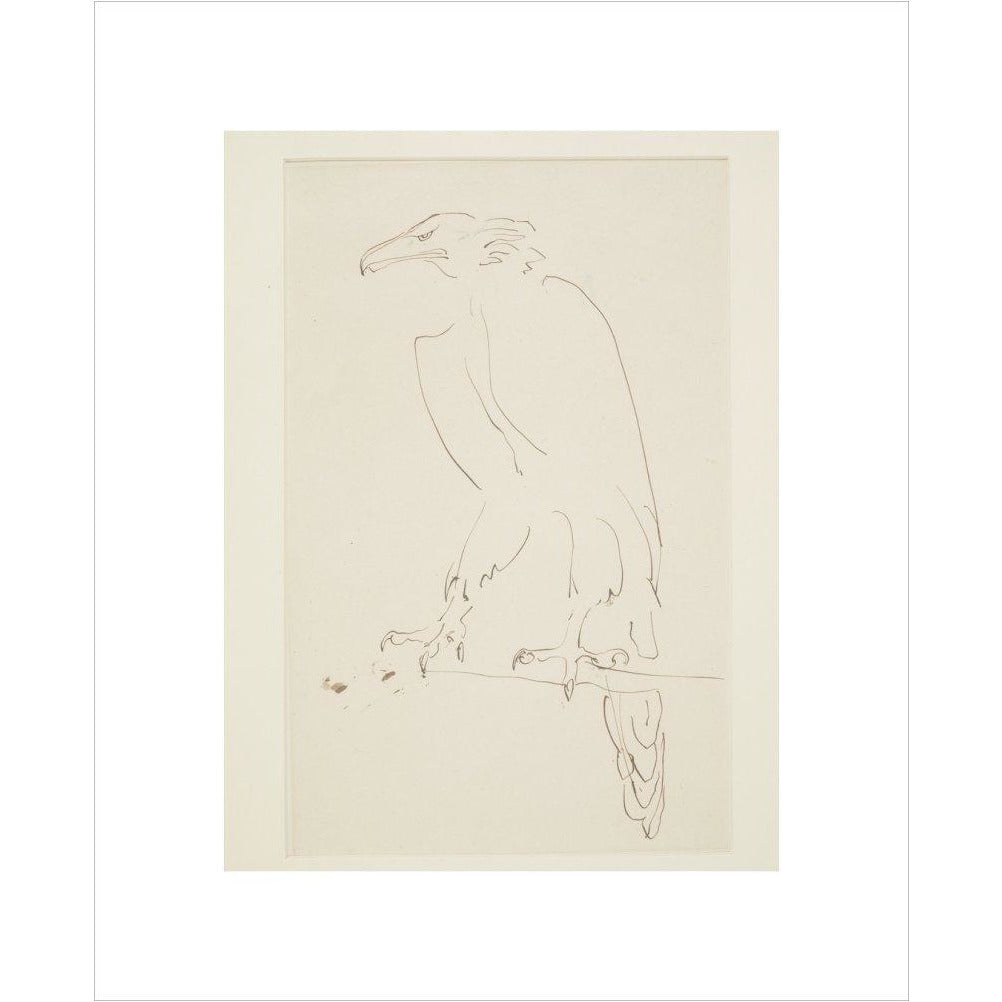 Eagle - Art print