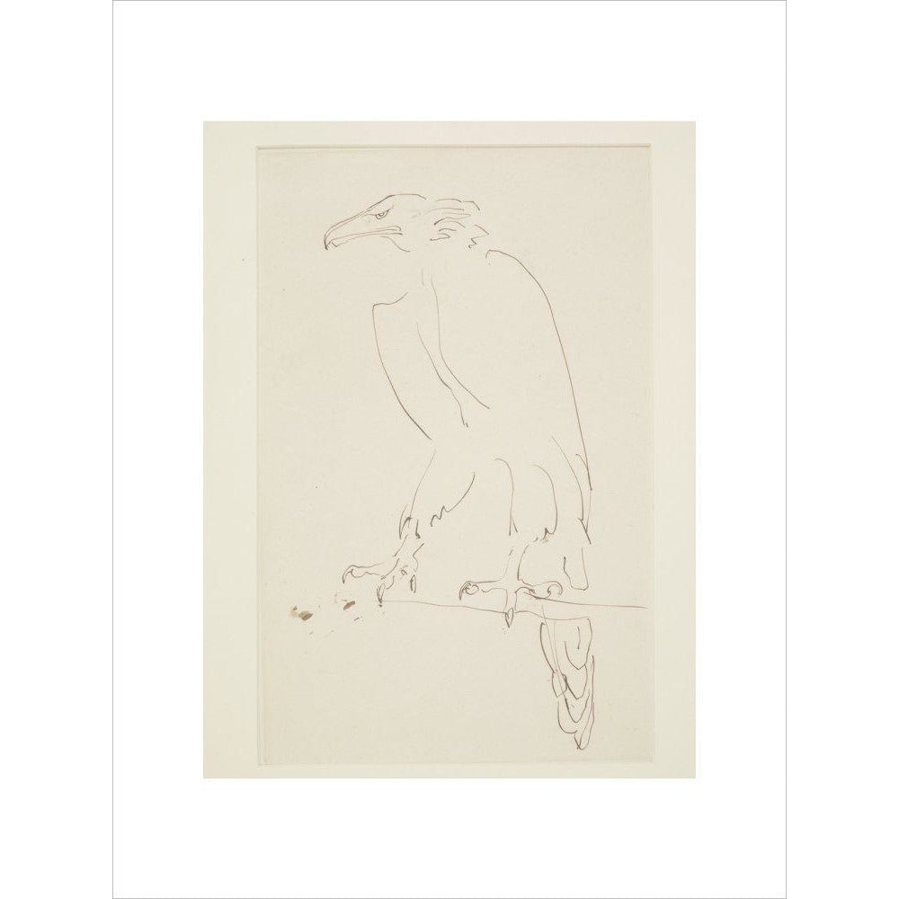 Eagle - Art print