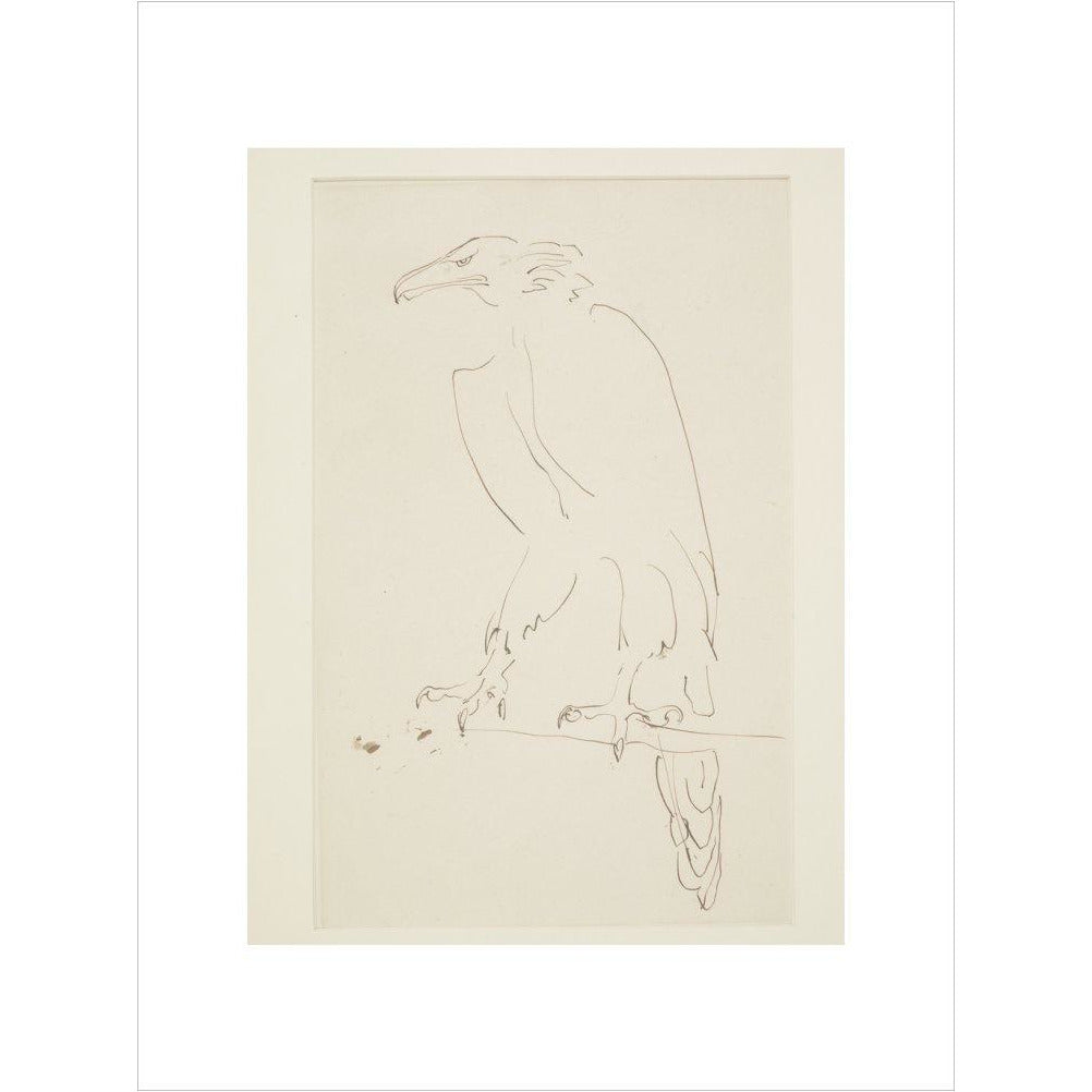 Eagle - Art print