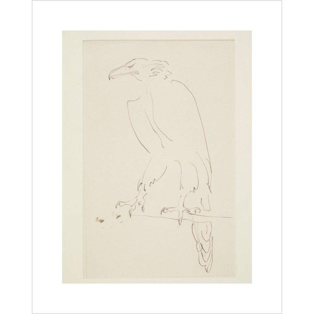 Eagle - Art print