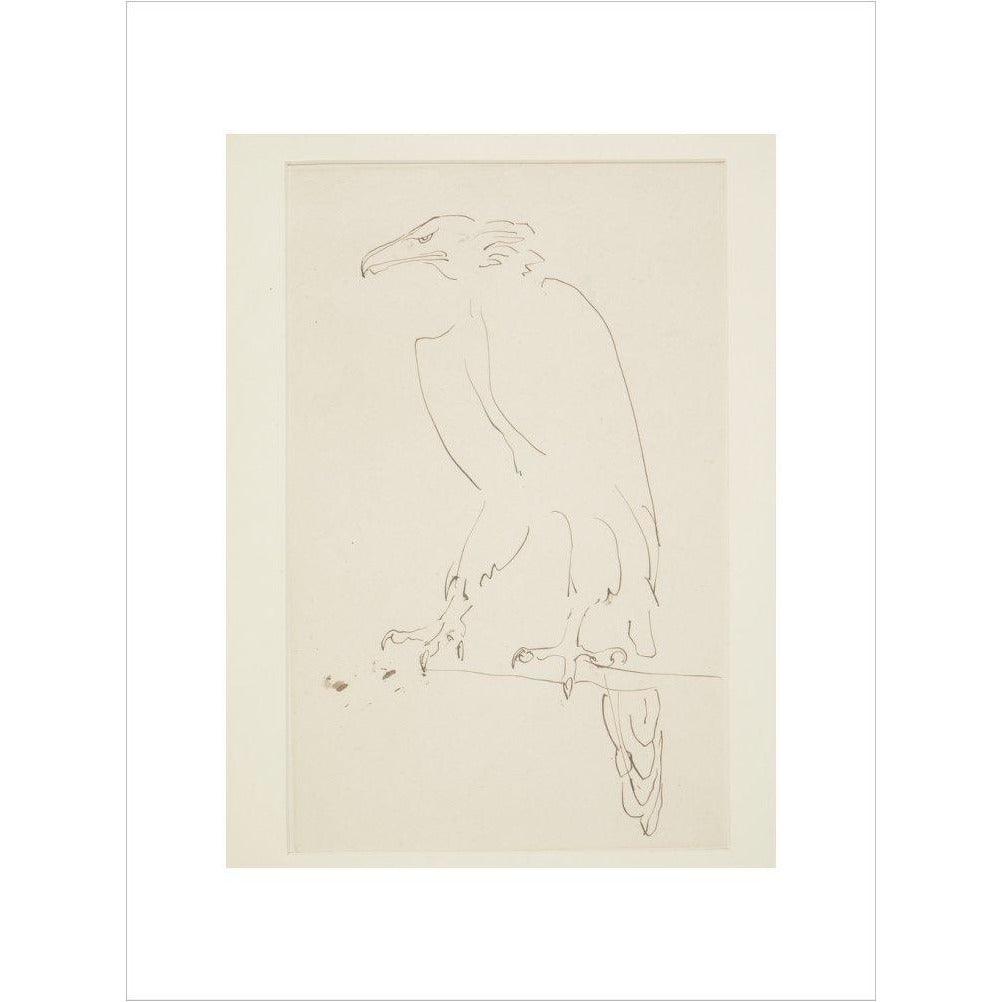 Eagle - Art print