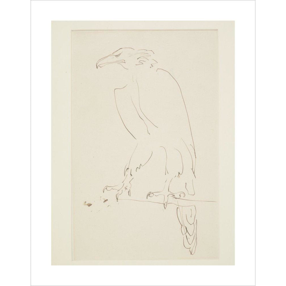 Eagle - Art print