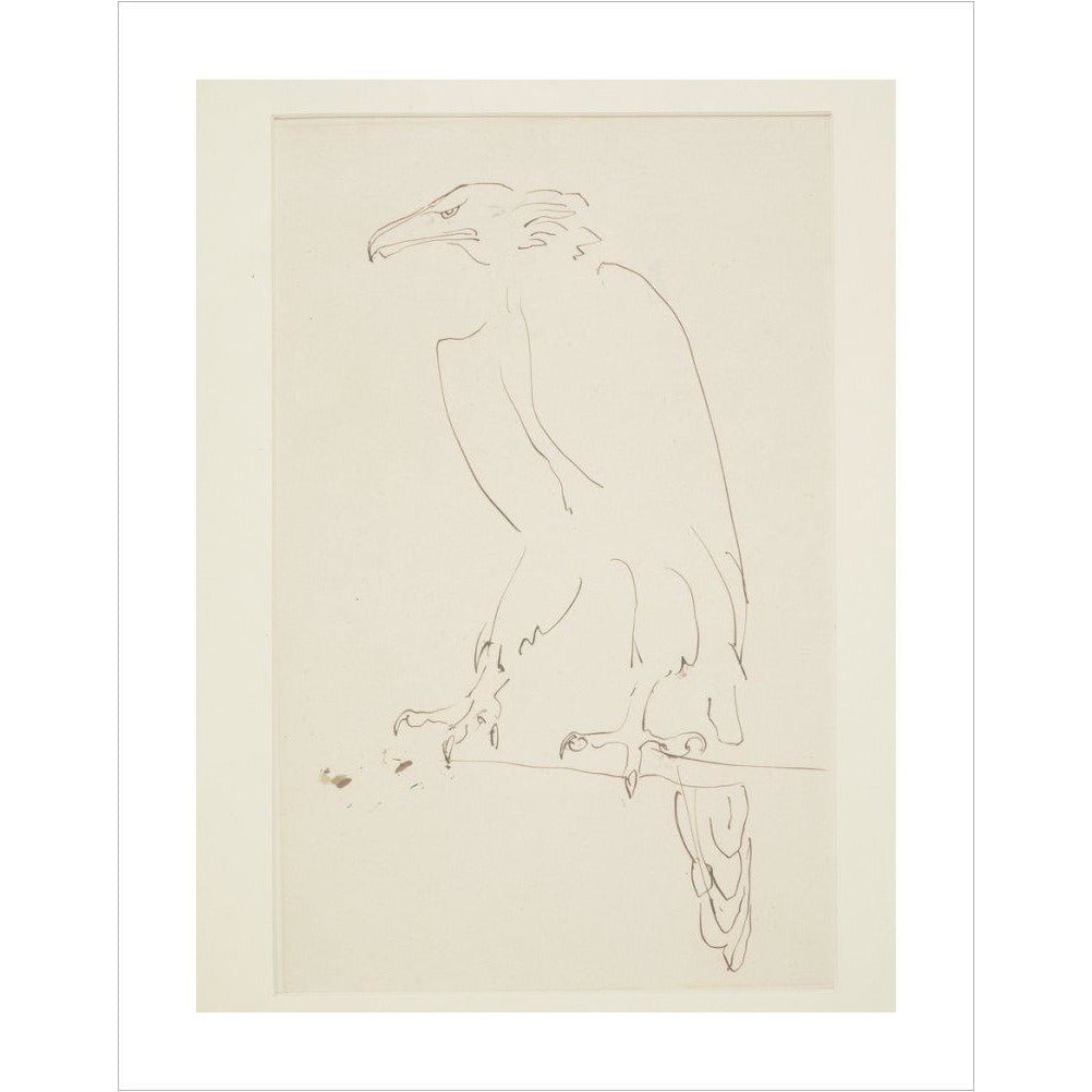 Eagle - Art print