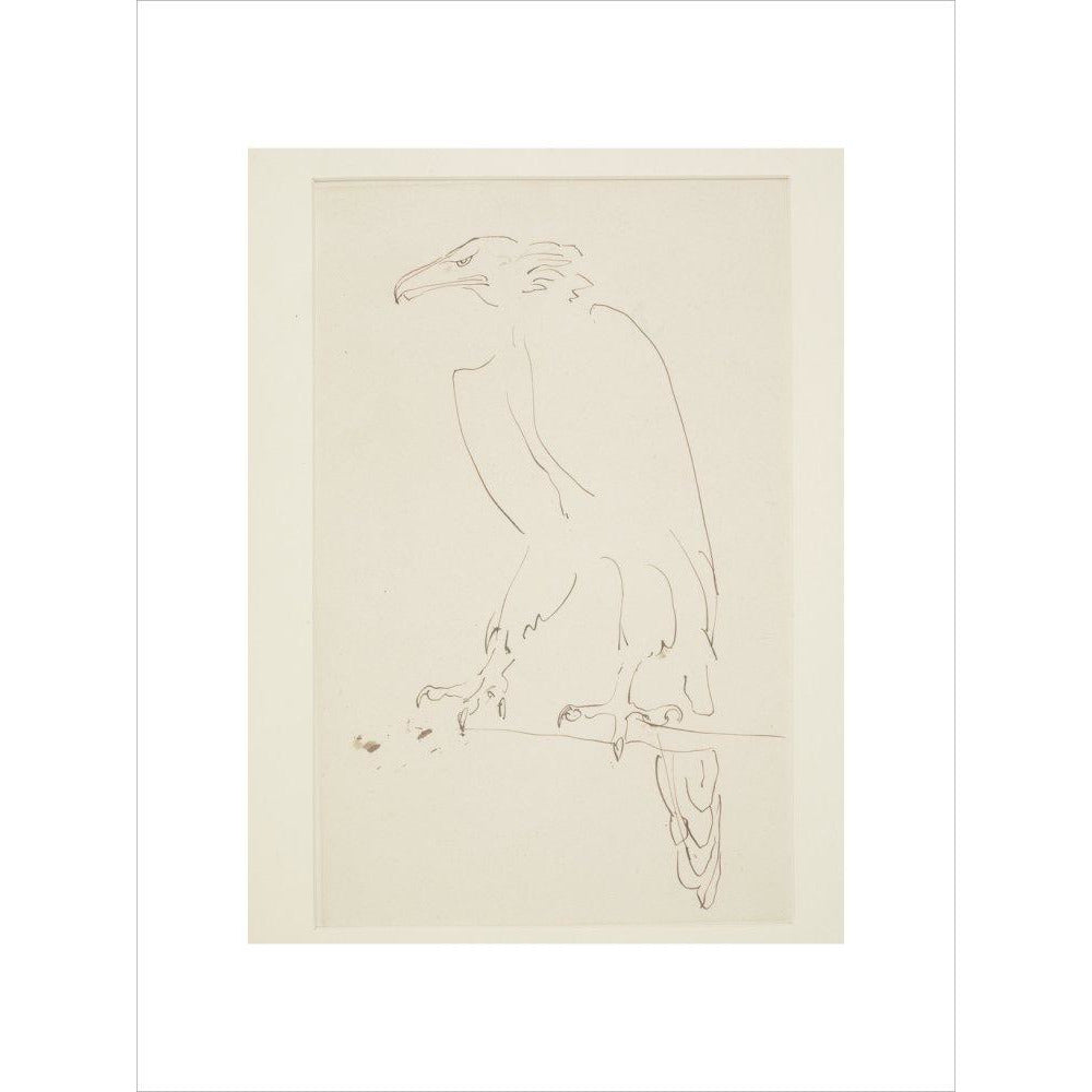 Eagle - Art print