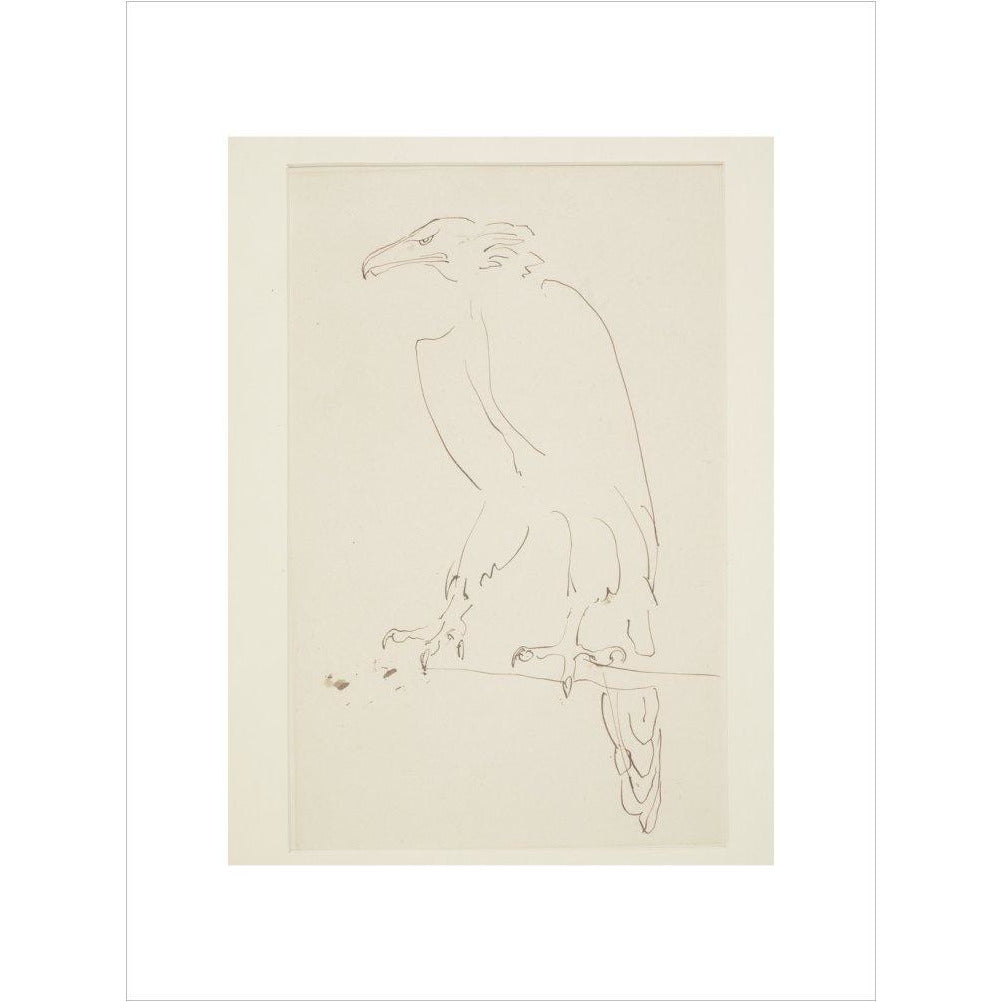 Eagle - Art print