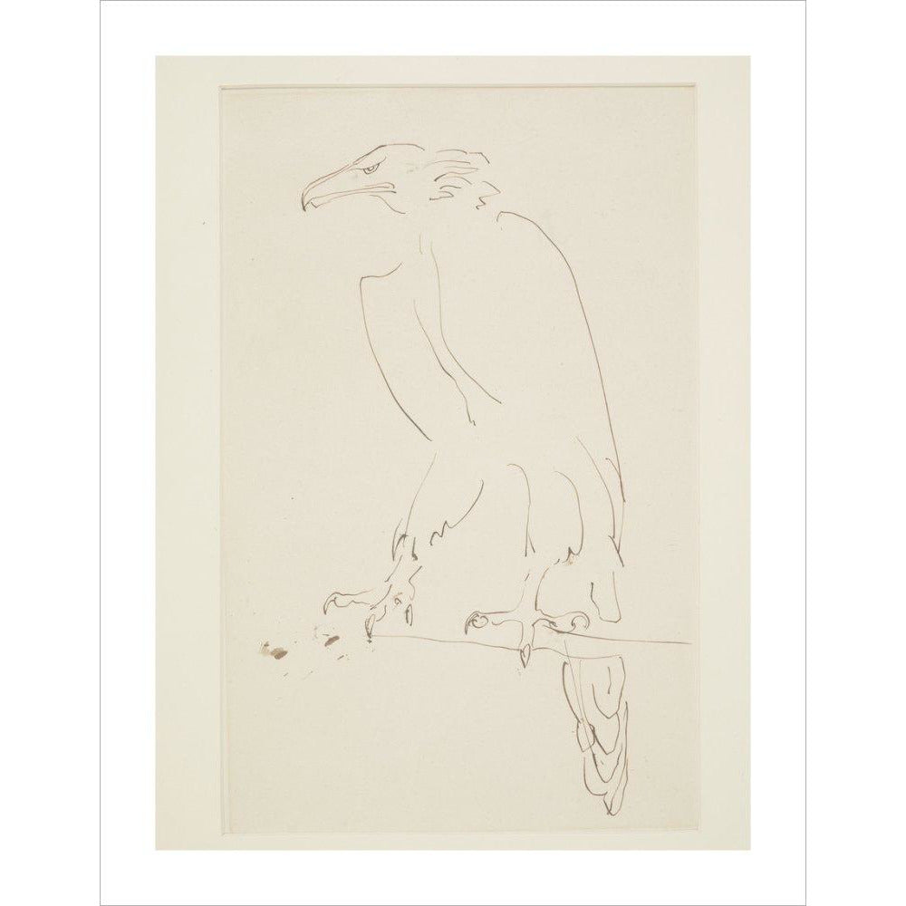 Eagle - Art print