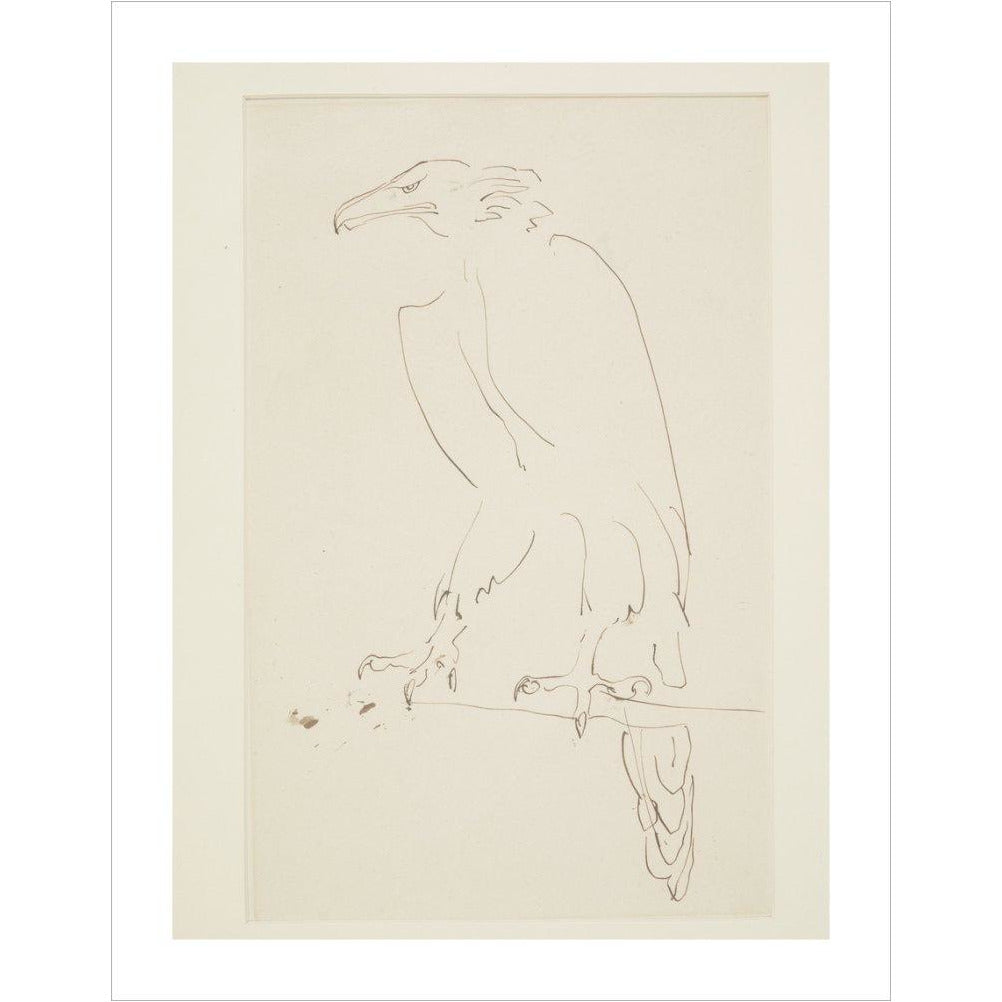 Eagle - Art print