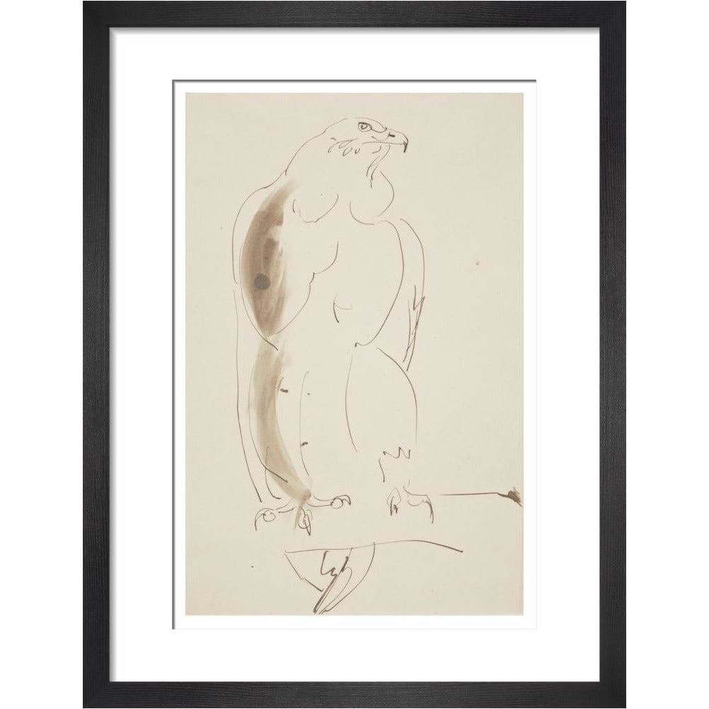 Eagle - Art print